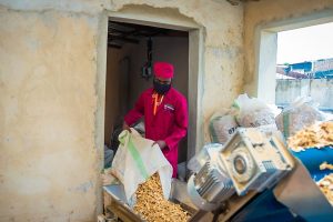 Dried Split Ginger Processing