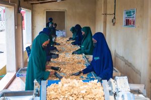 Dried Split Ginger Processing