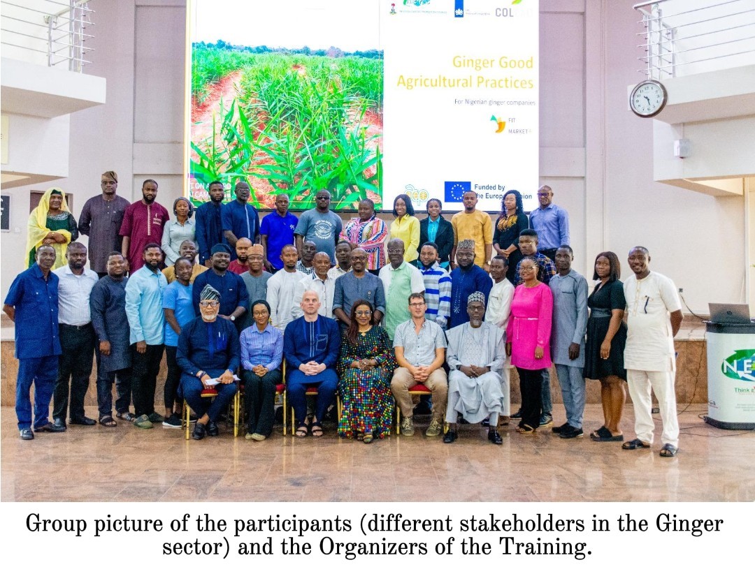 COLEAD GINGER GOOD AGRICULTURAL PRACTICES (GAPs) TRAINING