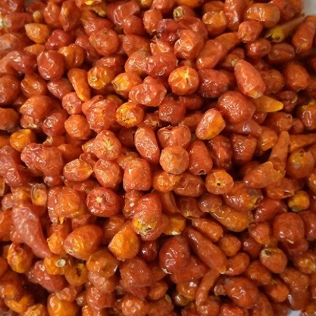 🌿 PREMIUM AGRO-COMMODITIES FROM GACON LTD 🌿