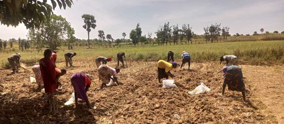 The journey to the Ginger success story – How it all started.